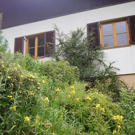 Feriehus Haus Ilse Bad Kleinkirchheim