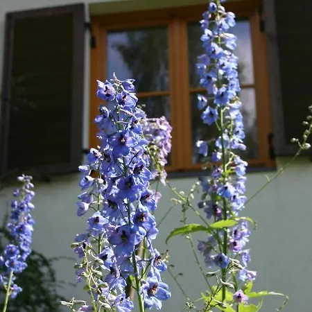 Holiday home Haus Ilse Bad Kleinkirchheim